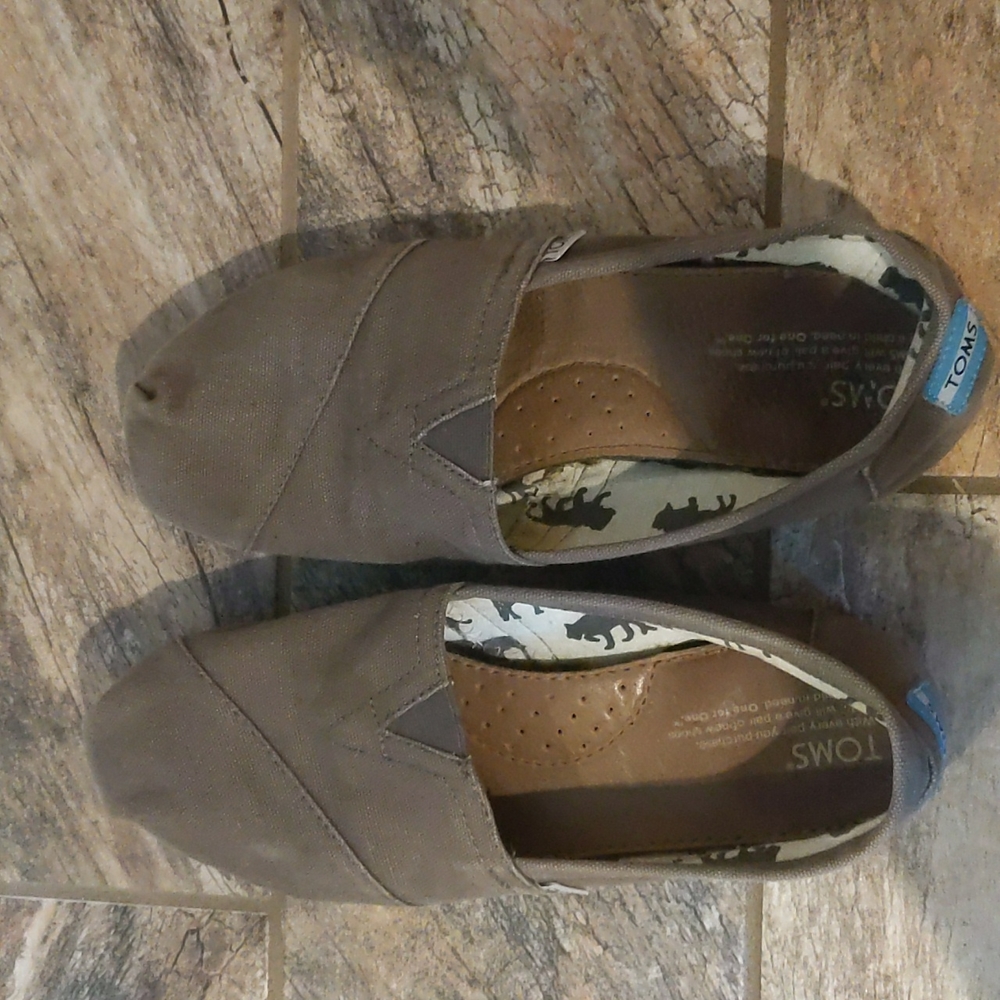 Grey Toms